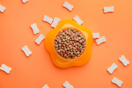 Bowl with dry pet food on color backgroundの写真素材