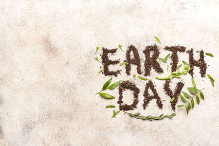 Text EARTH DAY and leaves on light background