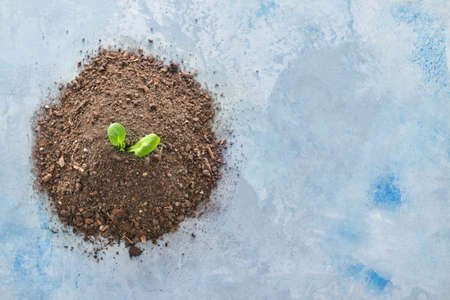 Heap of soil and plant on color background. Earth day celebrationの写真素材
