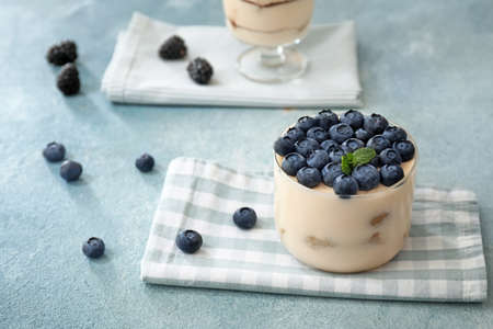 Tasty tiramisu with berries on color backgroundの写真素材