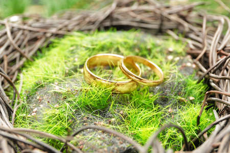 Nest with beautiful wedding rings, closeupの写真素材