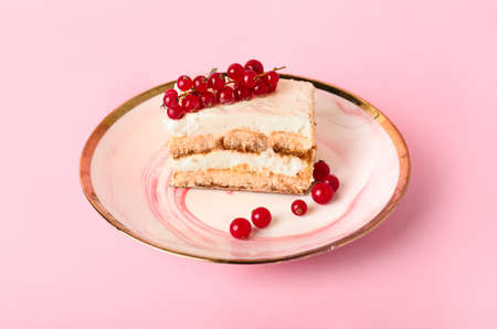 Plate with tasty tiramisu on color backgroundの写真素材