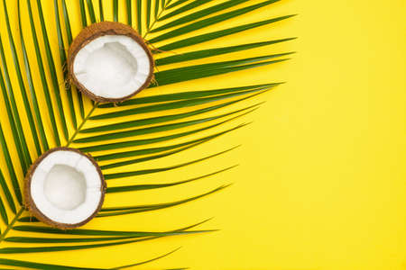 Ripe coconut and palm leaf on color backgroundの写真素材