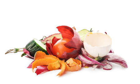 Organic garbage on white background. Recycling conceptの写真素材