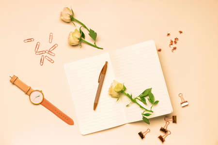 Set of school supplies with rose flowers and clock on color backgroundの写真素材