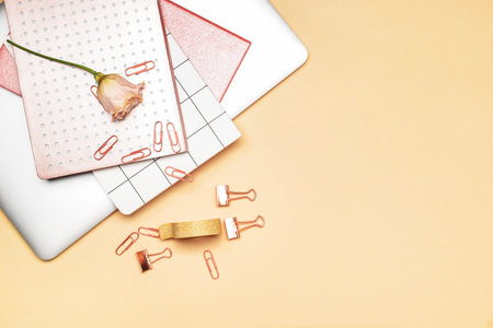 Set of school supplies with laptop on color backgroundの写真素材