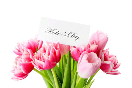 Bouquet of beautiful flowers for Mother's Day on white backgroundの写真素材