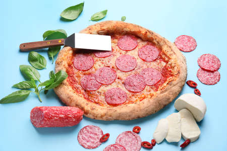 Tasty pizza with ingredients on color backgroundの写真素材