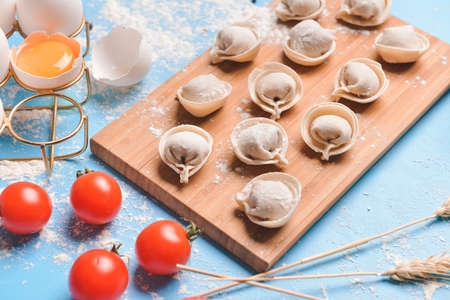 Raw fresh dumplings with eggs and tomatoes on color backgroundの写真素材
