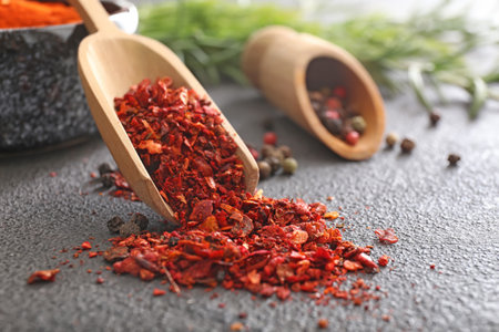 Scoop with dry chili pepper on dark backgroundの写真素材