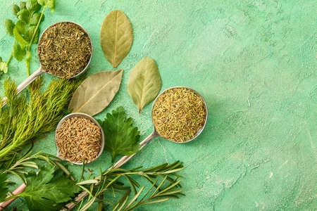 Different spices on color backgroundの写真素材