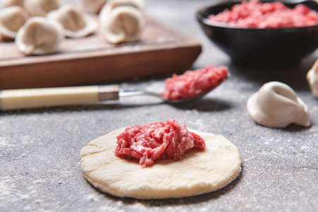 Making of tasty dumplings on gray backgroundの写真素材