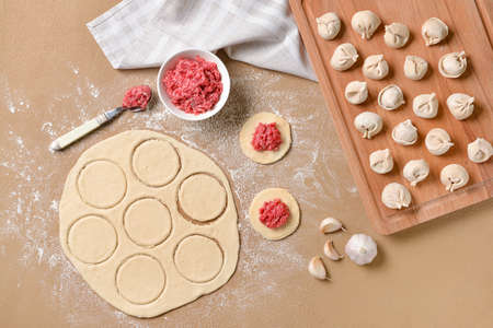 Making of tasty dumplings on color background