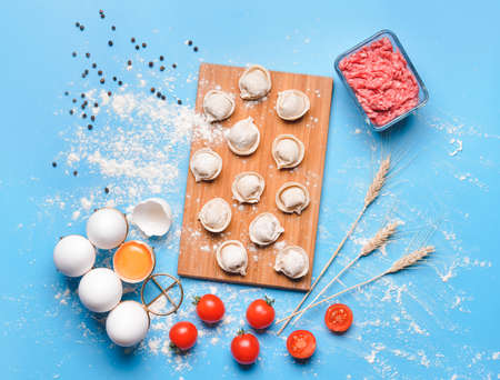 Raw fresh dumplings with eggs and tomatoes on color backgroundの写真素材