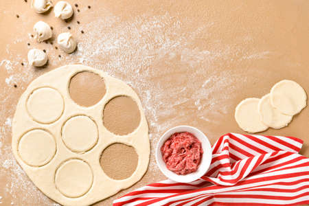 Making of tasty dumplings on color backgroundの写真素材