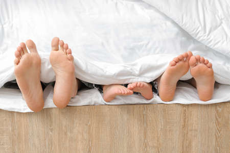 Feet of happy family lying under blanket in bedroomの写真素材