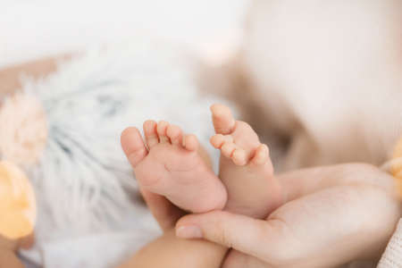 Mother's hands holding tiny feet of little baby, closeupの写真素材