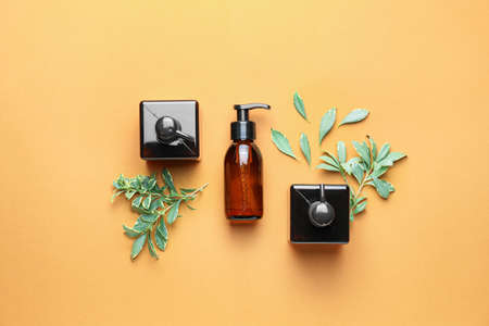 Bottles of shampoo with herbal extract on color backgroundの写真素材