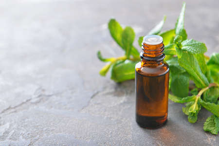 Bottle of mint essential oil on tableの写真素材