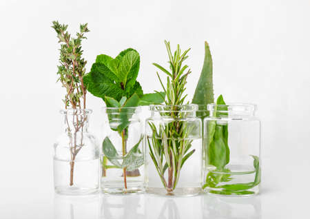 Bottles with different essential oils on white backgroundの写真素材