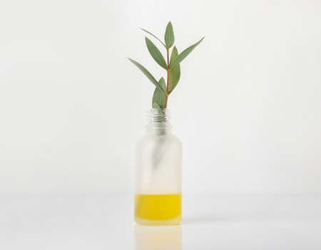 Bottle with eucalyptus essential oil on white backgroundの写真素材
