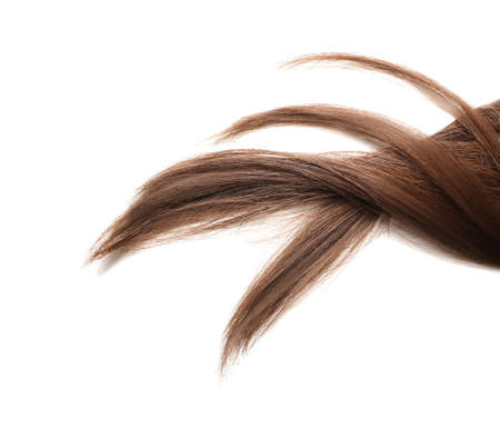 Beautiful long hair on white backgroundの写真素材