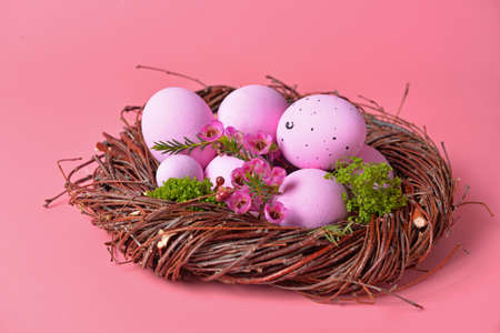 Nest with beautiful Easter eggs on color backgroundの写真素材