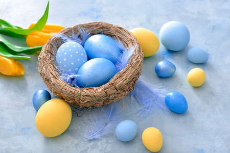 Nest with beautiful Easter eggs and flowers on color background