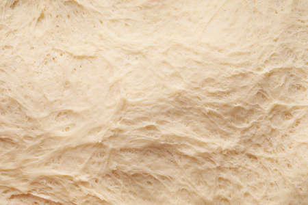 Texture of fresh dough, closeupの写真素材
