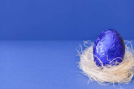 Nest with sweet chocolate egg on color backgroundの写真素材