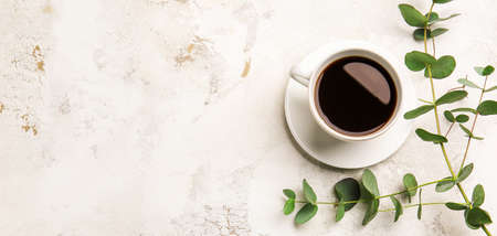 Cup of hot coffee and eucalyptus branch on light backgroundの写真素材