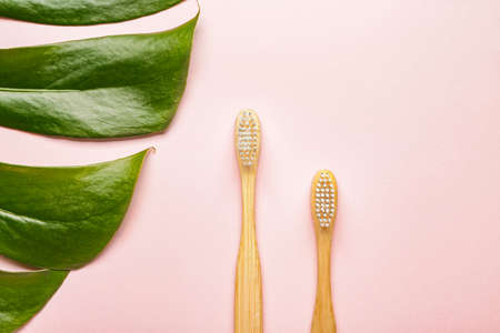 Wooden tooth brushes with tropical leaf on color backgroundの写真素材