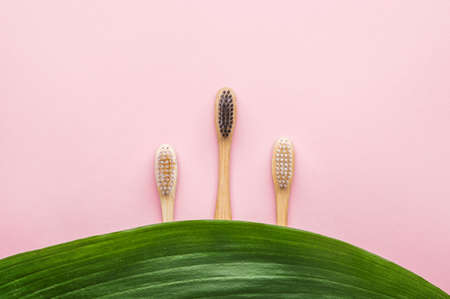 Wooden tooth brushes with tropical leaf on color backgroundの写真素材
