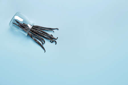 Jar with aromatic vanilla sticks on color backgroundの写真素材