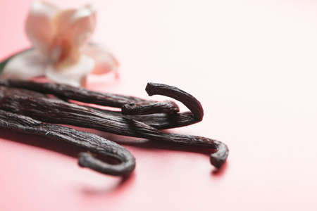 Aromatic vanilla sticks on color background, closeupの写真素材