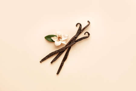 Aromatic vanilla sticks on color backgroundの写真素材