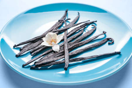 Plate with aromatic vanilla sticks on color backgroundの写真素材