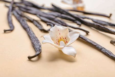 Aromatic vanilla sticks on color background, closeupの写真素材