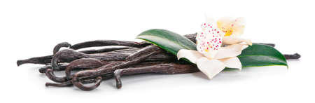 Aromatic vanilla sticks on white backgroundの写真素材