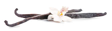 Aromatic vanilla sticks on white backgroundの写真素材