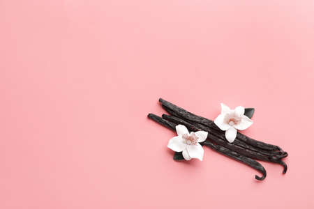 Aromatic vanilla sticks on color backgroundの写真素材
