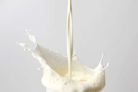 Splash of milk on light backgroundの写真素材