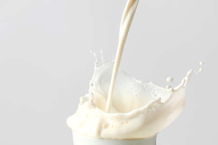 Splash of milk on light backgroundの写真素材