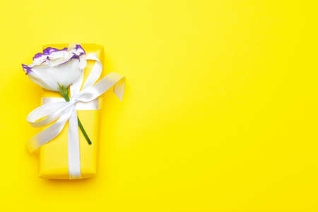 Birthday gift on color backgroundの写真素材