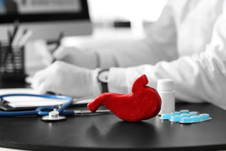 Model of stomach on table of gastroenterologist in clinicの写真素材