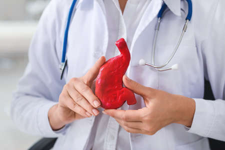 Gastroenterologist with model of stomach in clinic, closeupの写真素材