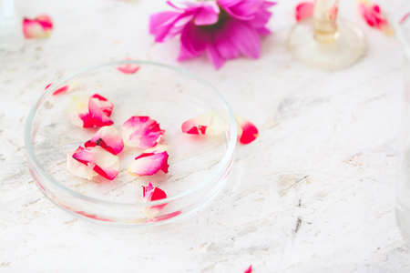 Petri dish with perfume sample on tableの写真素材