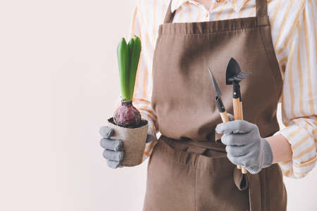 Woman with hyacinth plant and gardening tools on light backgroundの写真素材