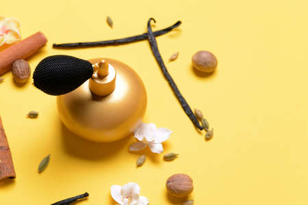 Beautiful composition with perfume bottle on color backgroundの写真素材