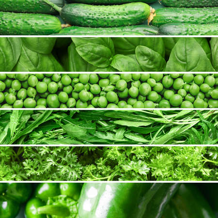 Collage of green vegetables, closeupの写真素材
